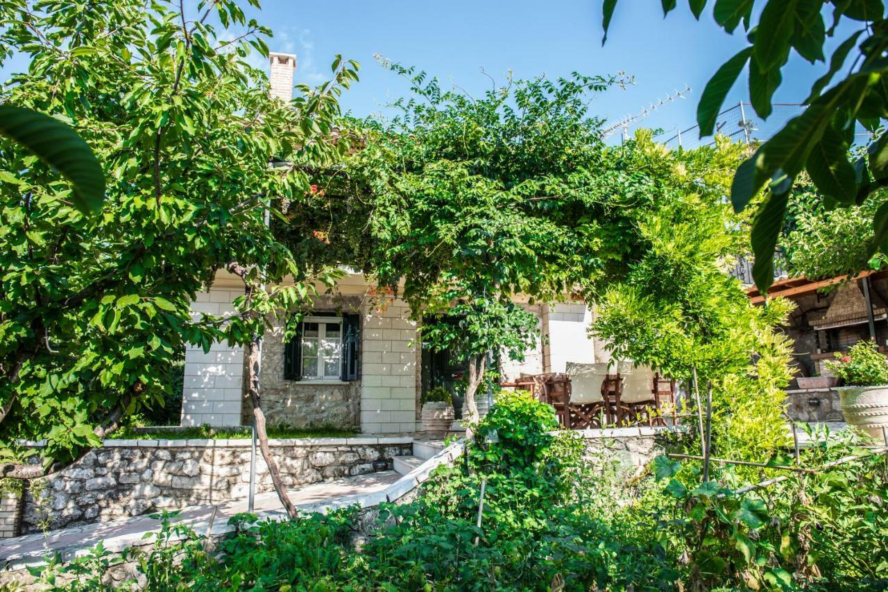 Villa Ilias Pinakokhorion Esterno foto