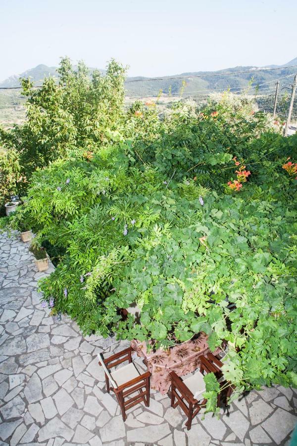 Villa Ilias Pinakokhorion Esterno foto